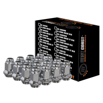 WCA Conical Lug Nut Kit (Qty 16) with Tip Closed - 10x1.25
